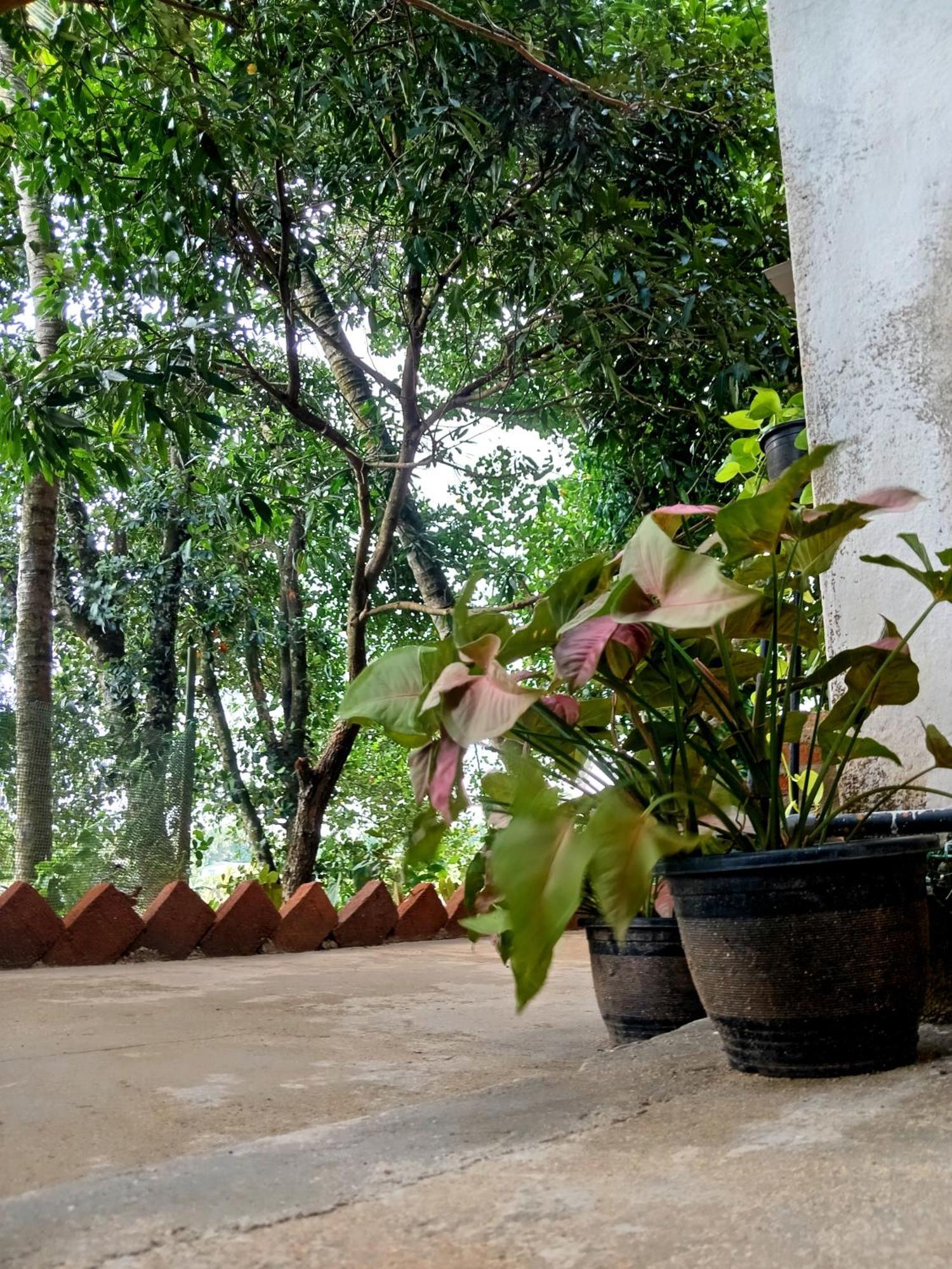 Fly Infinity - Home Stay Kandy Exteriér fotografie