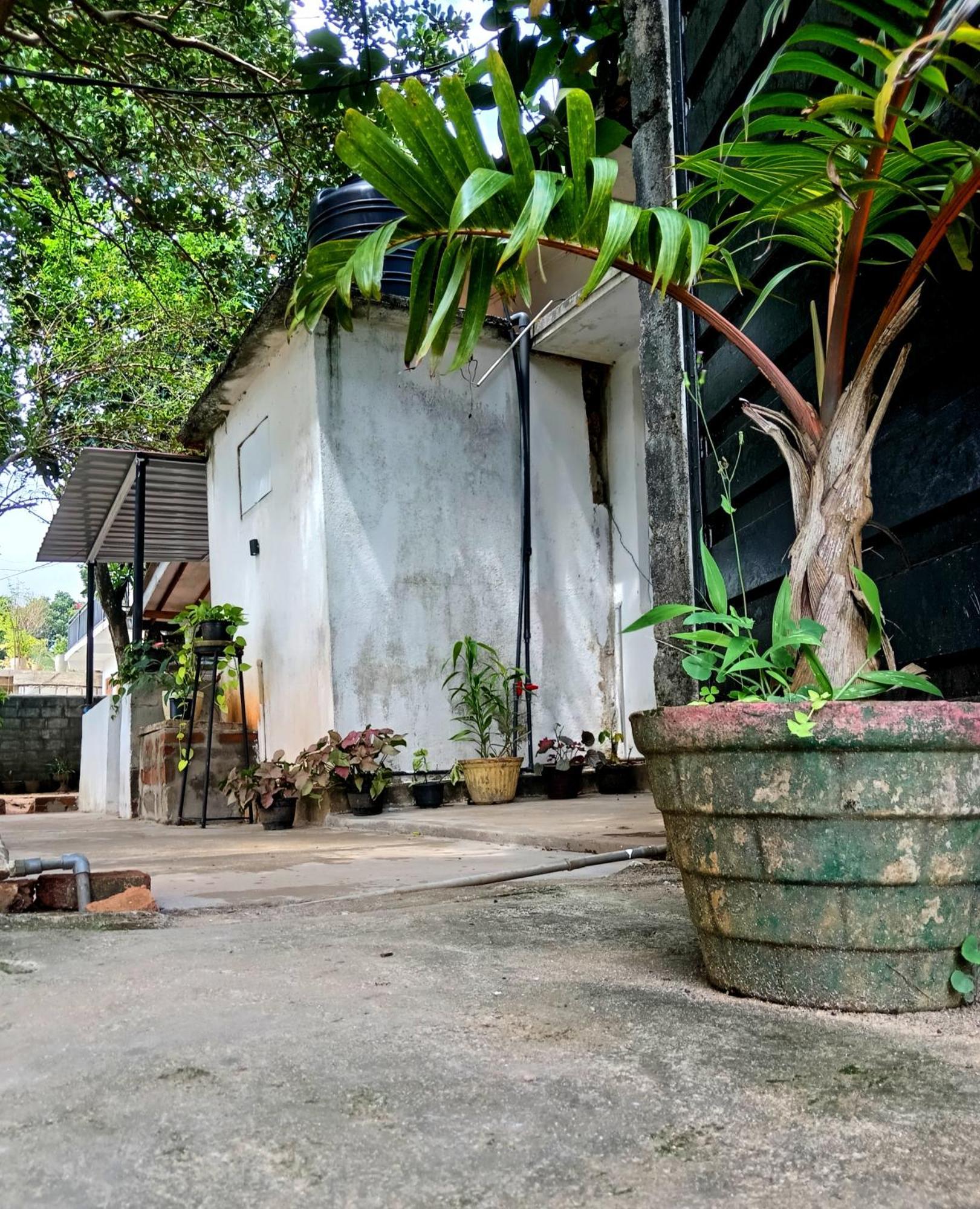 Fly Infinity - Home Stay Kandy Exteriér fotografie