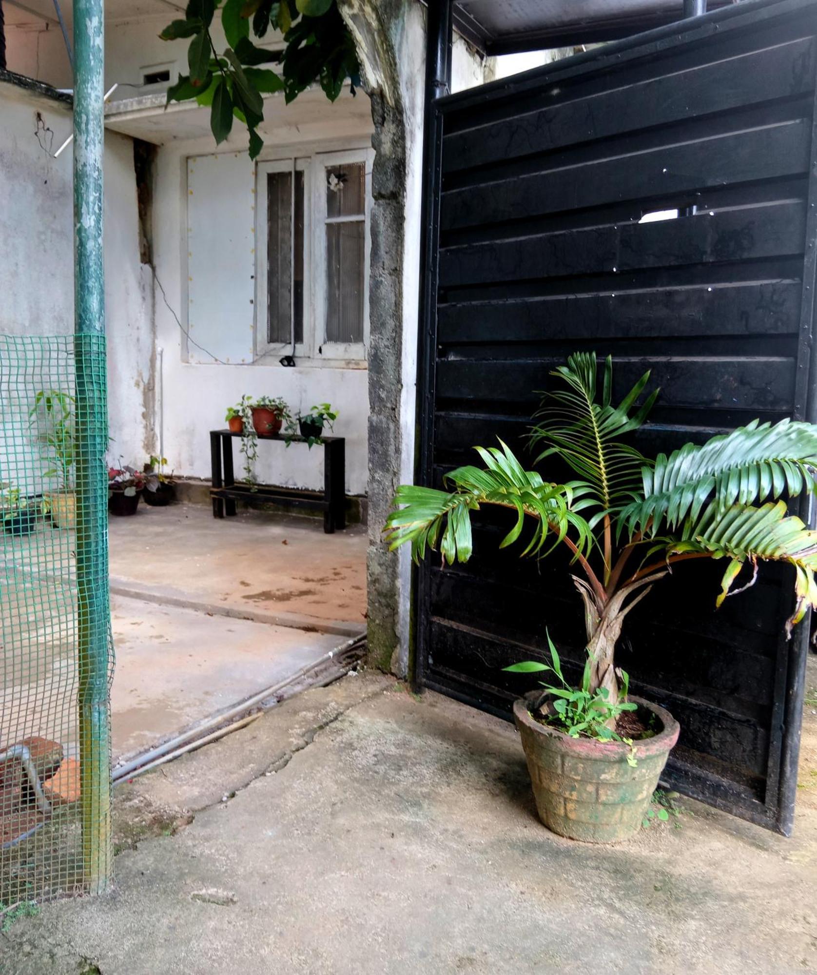 Fly Infinity - Home Stay Kandy Exteriér fotografie